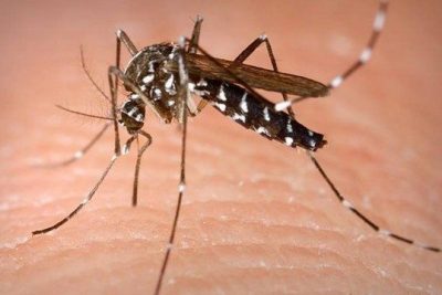 Vila Leila recebe nebulização contra mosquito da Dengue