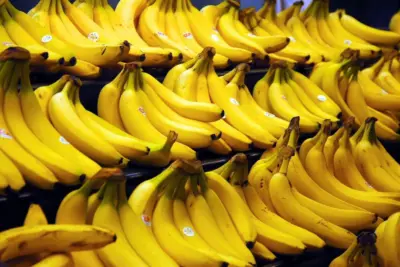 Equipe estuda o comportamento de cinco variedades de banana