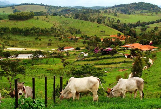 Governo destina R$ 1,4 bilhão para financiar armazéns nas fazendas