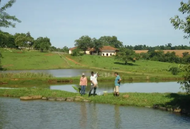 Dia de Campo demonstra ferramenta para auxiliar piscicultores