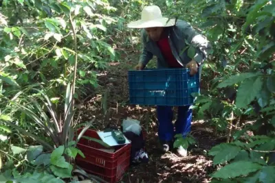 Embrapa colabora com a Secretaria do Meio Ambiente do Estado de São Paulo