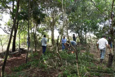 Agricultores assentados participam de curso sobre manejo de sistemas agroflorestais