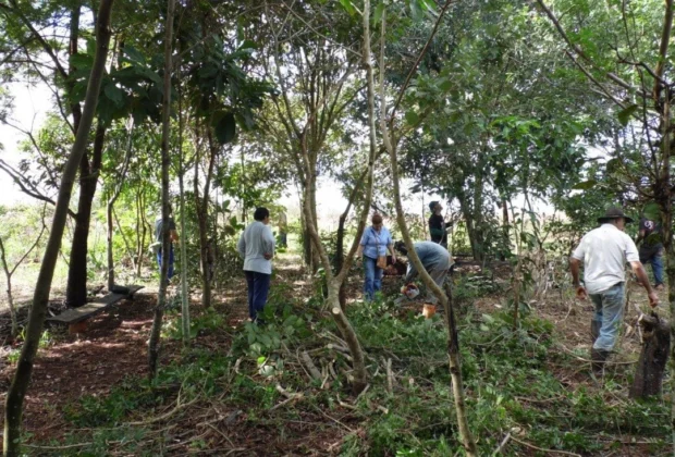 Agricultores assentados participam de curso sobre manejo de sistemas agroflorestais