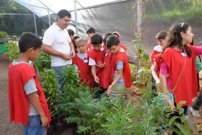 Amparo totaliza mais de 57 mil mudas plantadas