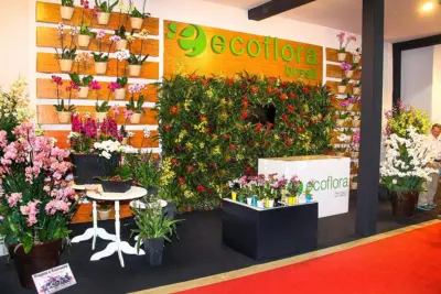 Grupo Swart apresenta Kalanchoe Sophisticated Pink e Rosa Déjà Vu durante o Enflor
