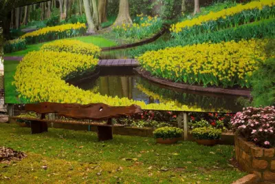 Venda do último lote de ingressos promocionais da Expoflora vai até 15 de agosto
