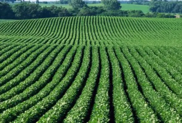 Produtor agrícola deve fazer o Cadastro Ambiental Rural