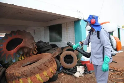 MEC vai premiar experiências de combate ao Aedes aegypti e de inovação tecnológica