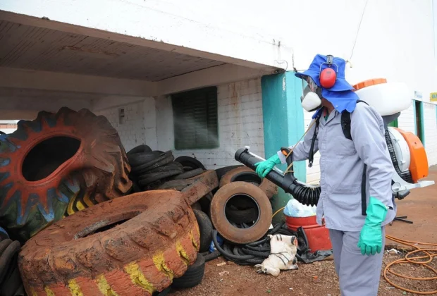 MEC vai premiar experiências de combate ao Aedes aegypti e de inovação tecnológica