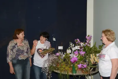 Plantio de orquídeas vai comemorar Dia da Árvore no Parque dos Ingás