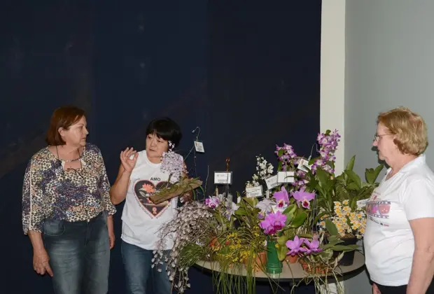 Plantio de orquídeas vai comemorar Dia da Árvore no Parque dos Ingás