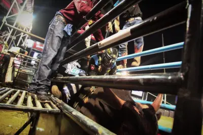 Jaguariúna Rodeo Festival inicia competições de arena nesta sexta-feira