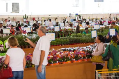 Mais de 3 mil holambrenses visitaram o evento com o Cartão Cidadão
