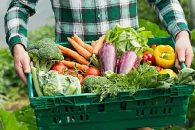 Produção orgânica e agricultura são apresentados em congresso de iniciação científica