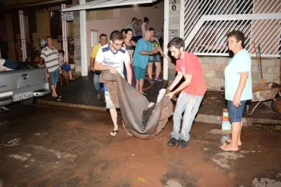Tempestade em Mogi Guaçu resultou em grandes consequências