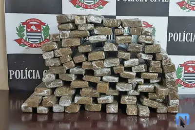 Polícia Civil encontra mais de 90 kg de maconha em sítio de Artur Nogueira