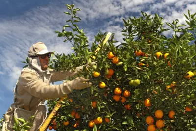 Segundo Caged, 329 postos de trabalho foram extintos em setembro
