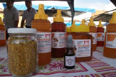 Turismo inicia mapeamento de produtores rurais e artesanais