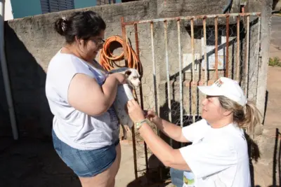 Zoonoses vacinou mais de 29 mil animais contra a raiva