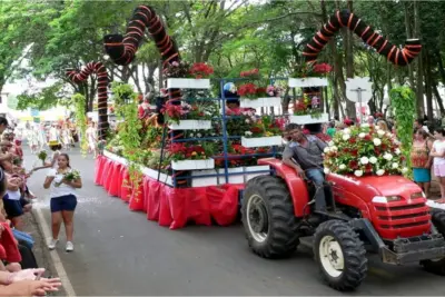 Produtores decoram carros alegóricos e distribuem flores para o público