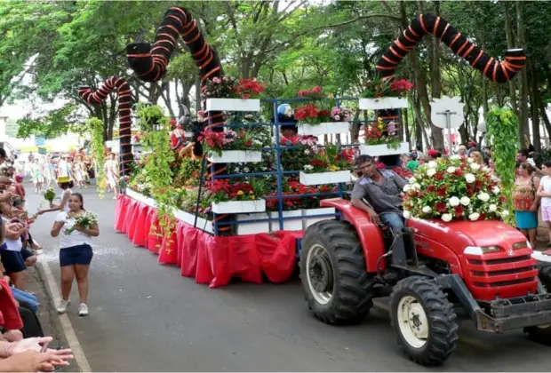 Produtores decoram carros alegóricos e distribuem flores para o público