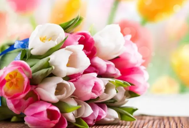 Expectativa de venda de flores é positiva neste Dia Internacional das Mulheres