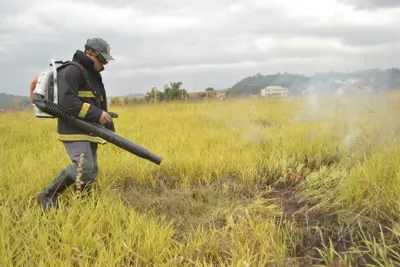 Bombeiros Civis recebem sopradores para apagar incêndio provocado por queimadas