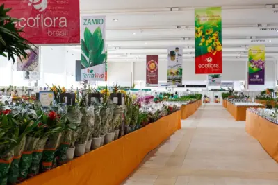 Mercado de flores prevê crescimento médio de 9% no Brasil e faturamento de R$ 7 bi em 2017