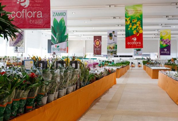 Mercado de flores prevê crescimento médio de 9% no Brasil e faturamento de R$ 7 bi em 2017