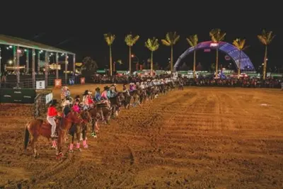 Provas de Team Penning e Três Tambores “estreiam” competições do Jaguariúna Rodeo Festival 2017