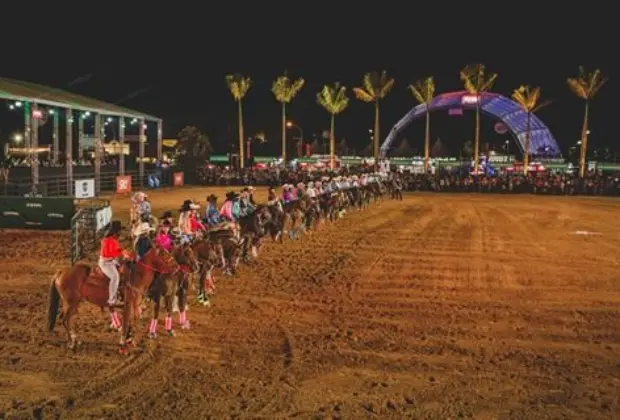 Provas de Team Penning e Três Tambores “estreiam” competições do Jaguariúna Rodeo Festival 2017
