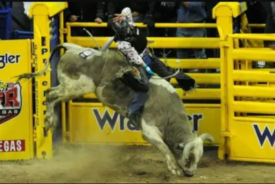 PRCA chega ao Brasil e etapa final será realizada no Jaguariúna Rodeo Festival 2017