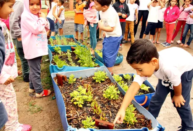 Grande colheita marca encerramento do Projeto Horta Escolar