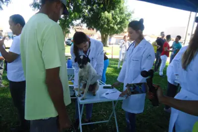 Projeto Veterinário Solidário realiza atendimentos gratuitos em Artur Nogueira