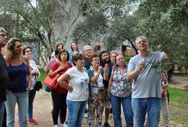 Empresa Folhas de Oliva abre as portas para visitação de turistas
