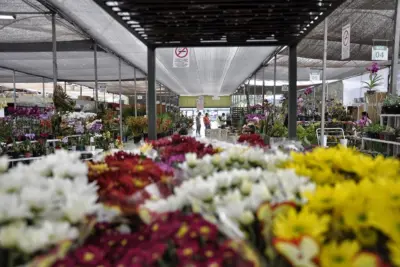 Circuito das Flores Paulista é sancionado pelo governador Alckmin