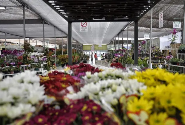 Circuito das Flores Paulista é sancionado pelo governador Alckmin