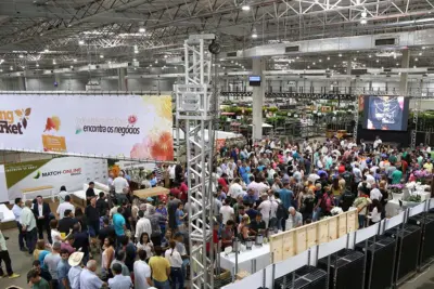 Veiling Market bate recorde de participações trazendo novidades em produtos e serviços