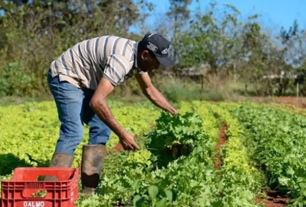 Prefeitura de Pedreira vai adquirir gêneros alimentícios provenientes da Agricultura Familiar