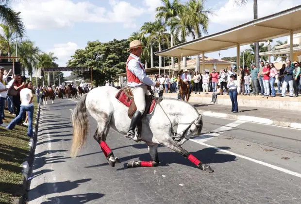 Tradição da Cavalaria Antoniana confirma força da fé e atrai 10 mil pessoas