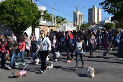 Estão abertas as inscrições para a 8ª Cãominhada de Pedreira