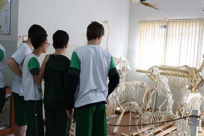 Colégio COC visita Museu de História Natural