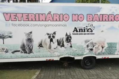 Prefeitura faz parceria e castra 52 animais domésticos durante mutirão em Jaguariúna