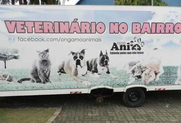 Prefeitura faz parceria e castra 52 animais domésticos durante mutirão em Jaguariúna