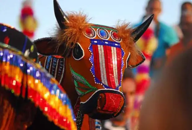 Festival de Férias de Jaguariúna começa neste domingo, 1º de julho, com Workshop de Danças Brasileiras