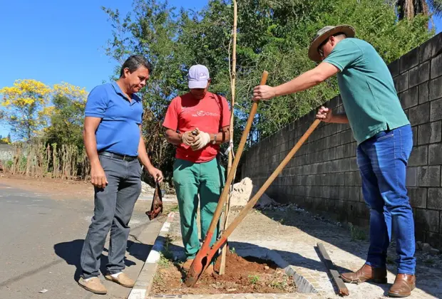 Prefeitura realiza plantio de mudas e amplia espaços-árvore na zona urbana de Holambra