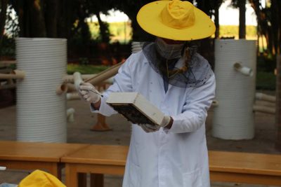 Minicurso ensina criar Ninhos-isca para abelhas sem ferrão