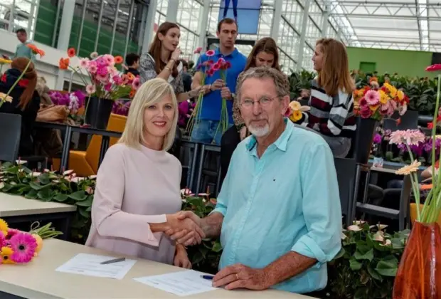 Produtores brasileiros desenvolvem conceito de plantas purificadoras de ar