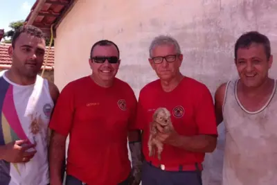 Bombeiros Municipais e Defesa Civil de Jaguariúna resgatam filhotinho preso em tubulação de esgoto