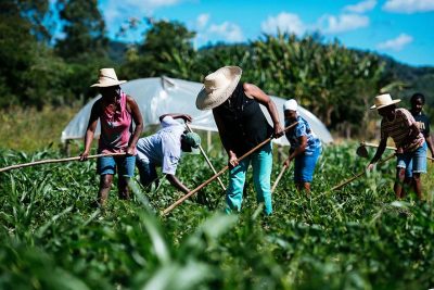 Prefeitura de Pedreira irá adquirir gêneros alimentícios provenientes da Agricultura Familiar